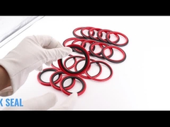 SPGO Glyd Seal HBTS Step Seals